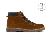 Artemus Boot
